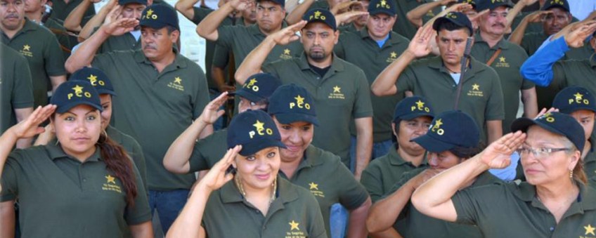Nestora Salute